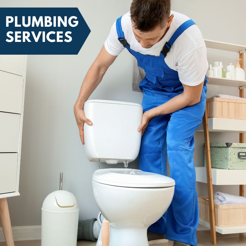 Plumbing Company in Danvers, MN